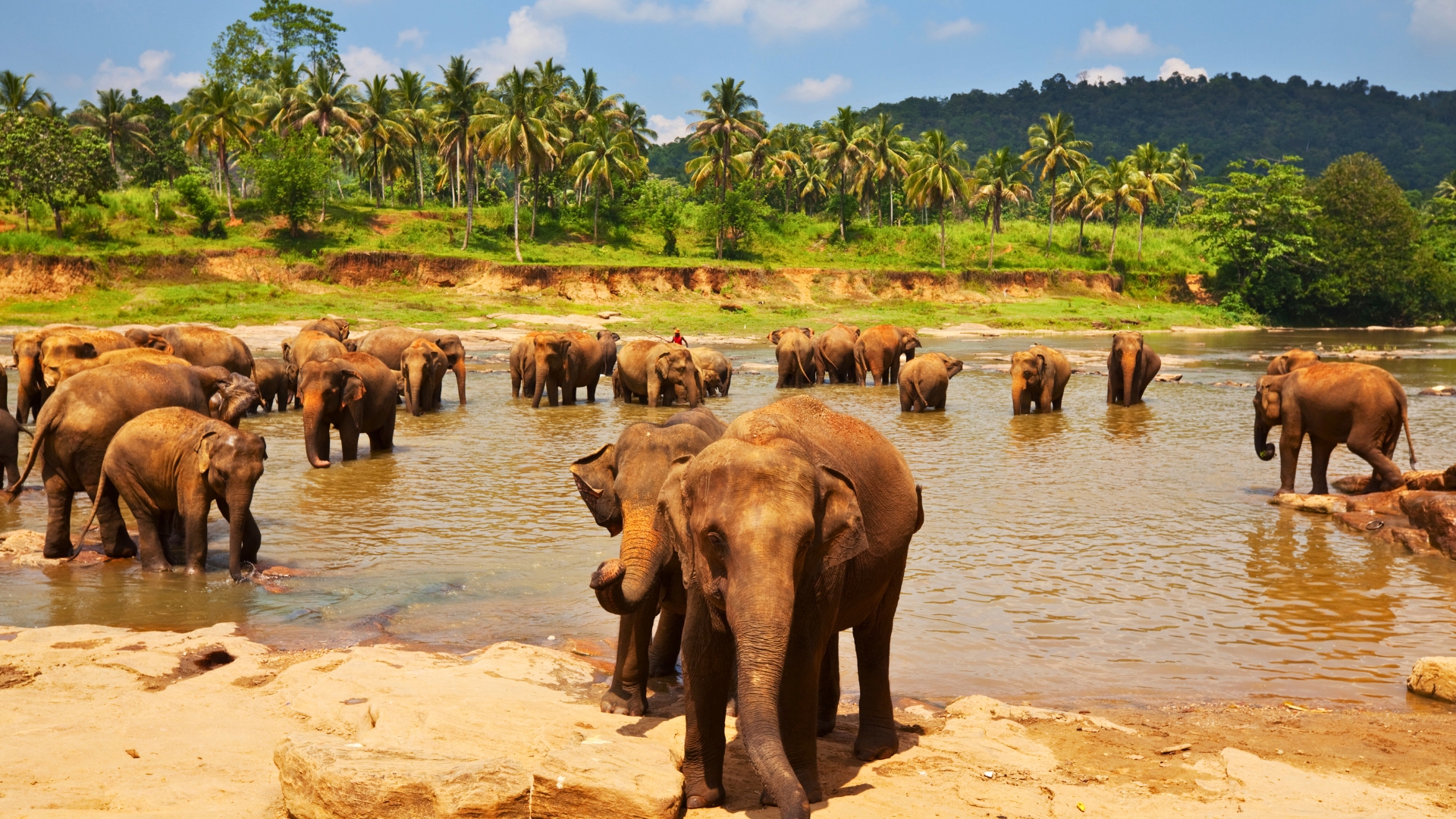 asiansafaris.com_our_experiences_wildlife_in_sri_lanka (1)