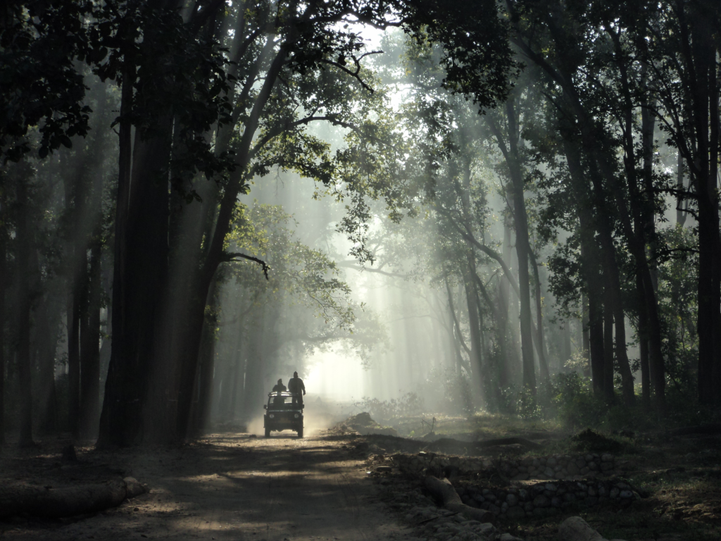 Jim Corbett National Park