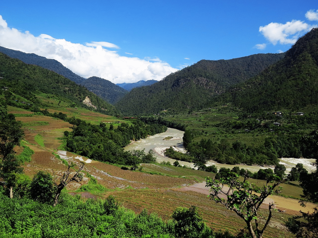 Journey into Bhutan’s wild Takin