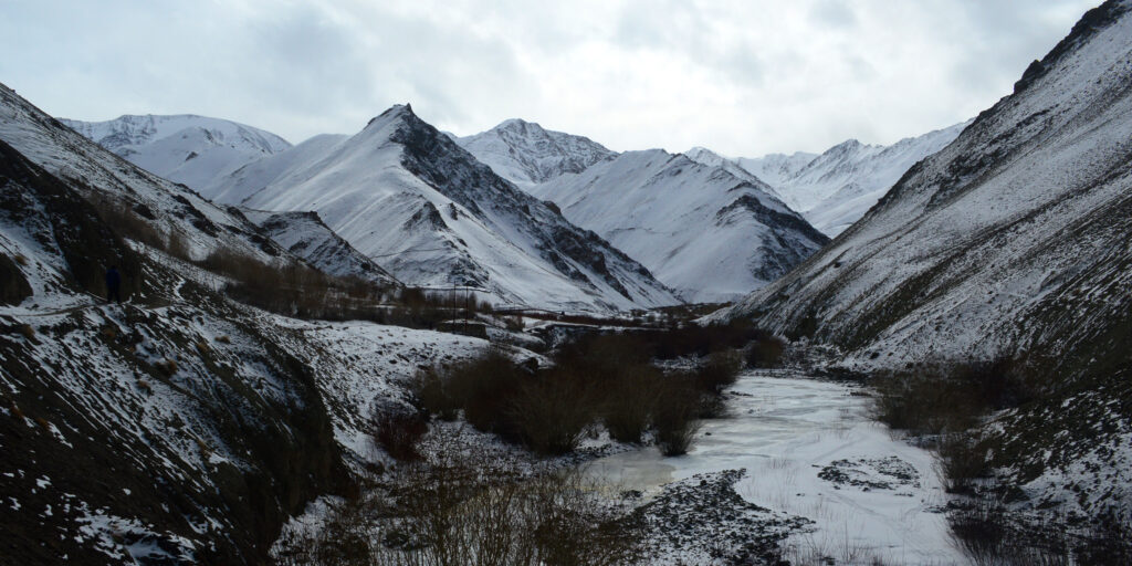 Hemis National Park Snow Leopard Expedition