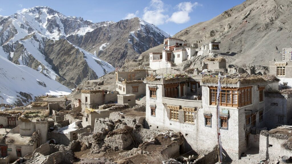Hemis National Park Snow Leopard Expedition