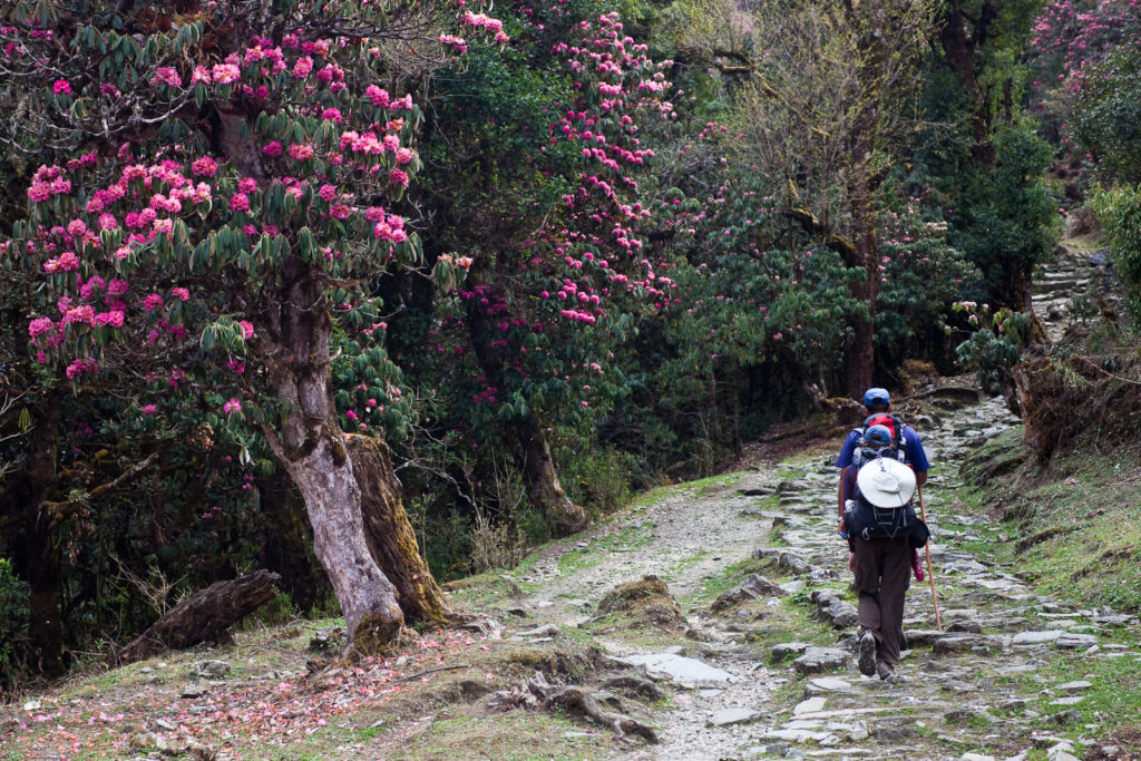 Himalayan wildlife trekking